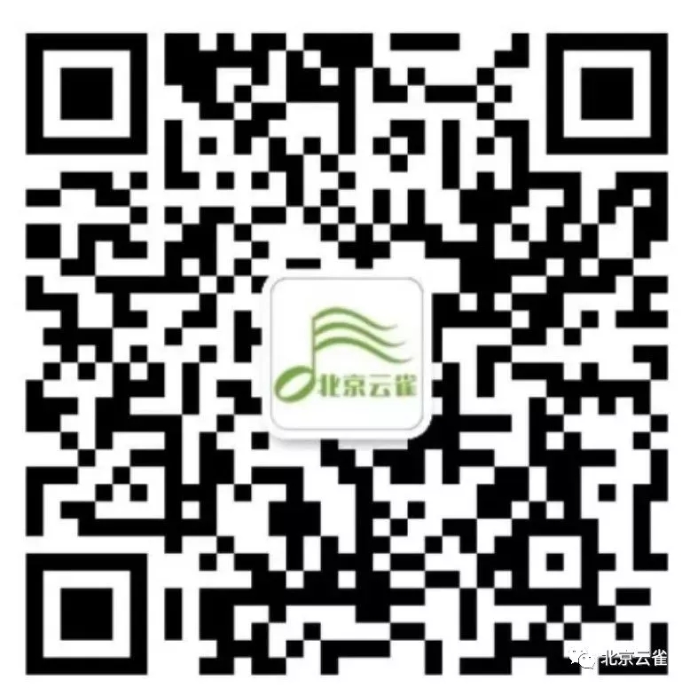 北京云雀艺术-王老师 北京云雀艺术-王老师