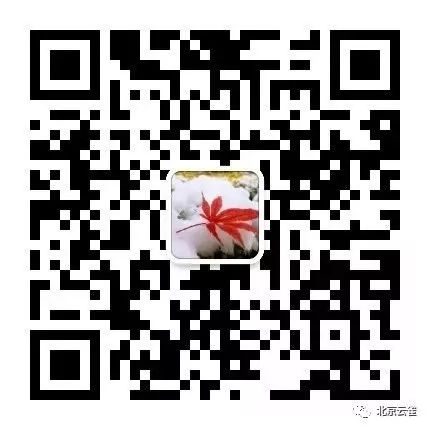 北京云雀艺术-苏老师 北京云雀艺术-苏老师